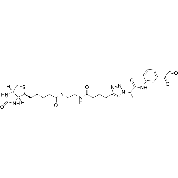 Citrulline-specific probe-biotin 2468149-70-2